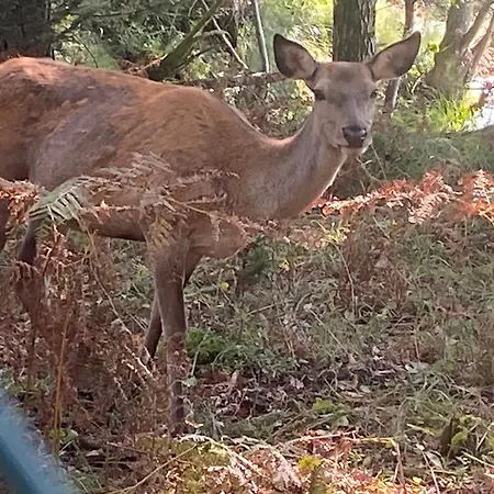 民宿 Nature's Sanctuary *