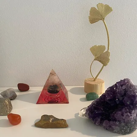 Nature's Sanctuary 普雷德沃尔