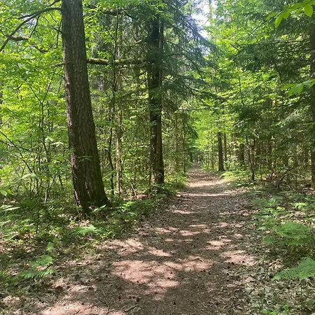 בית אירוח Nature's Sanctuary פרדבור