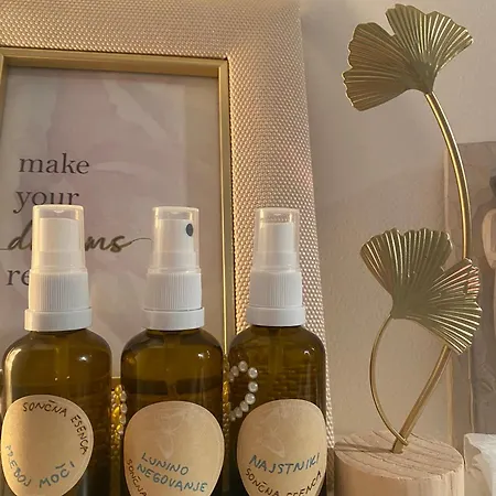 Nature's Sanctuary Habitación en casa particular Preddvor