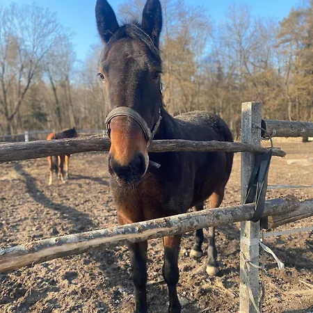 Nature's Sanctuary 홈스테이