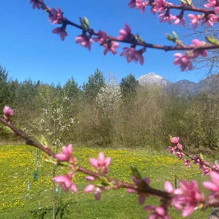 River & Forest Escape, Private Garden Near Ljubljana *
