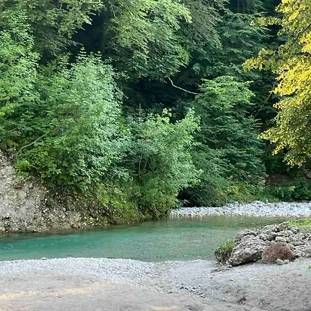 River & Forest Escape, Private Garden Near Ljubljana Alloggio in famiglia