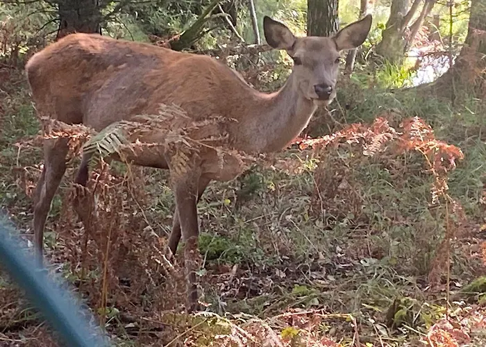 בית אירוח Nature's Sanctuary *