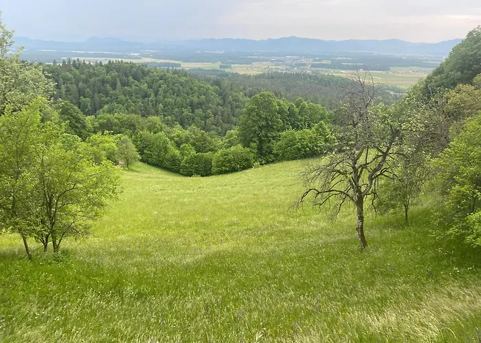 Nature's Sanctuary *