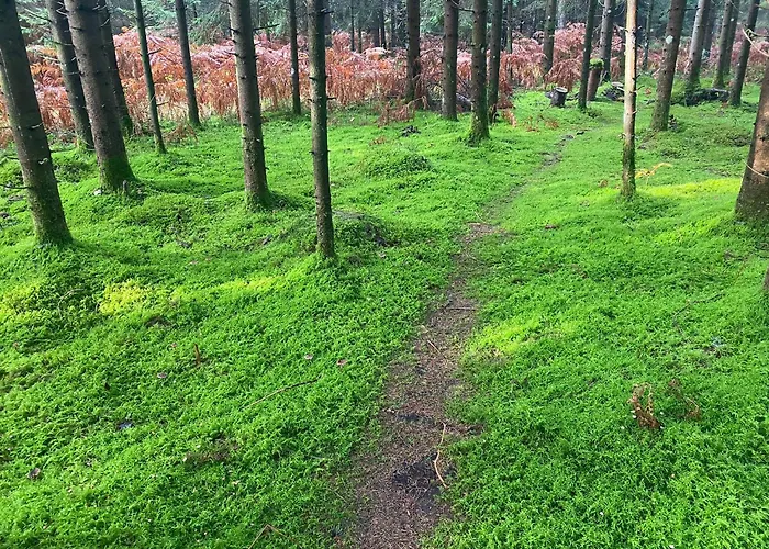 Nature's Sanctuary * Preddvor