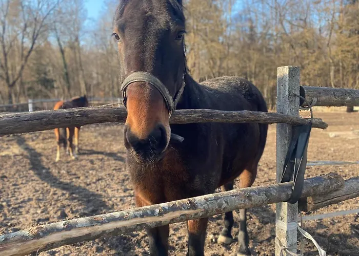 Nature's Sanctuary Alloggio in famiglia
